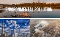 Environmental Pollution - Student Essay