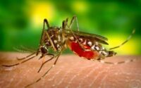 First Zika Virus Case Reported in Karnataka
