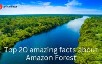 Top 20 amazing facts about Amazon Forest