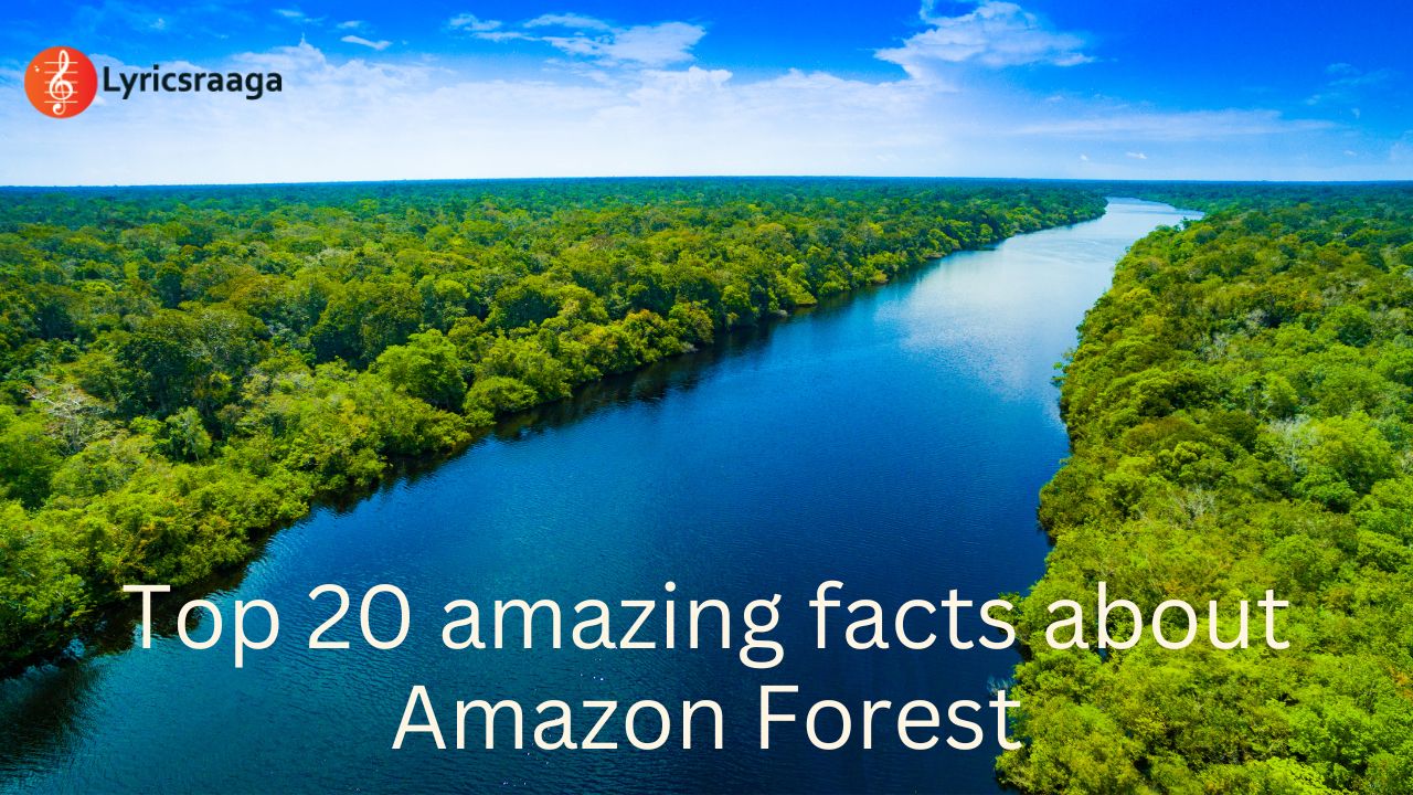 Top 20 amazing facts about Amazon Forest