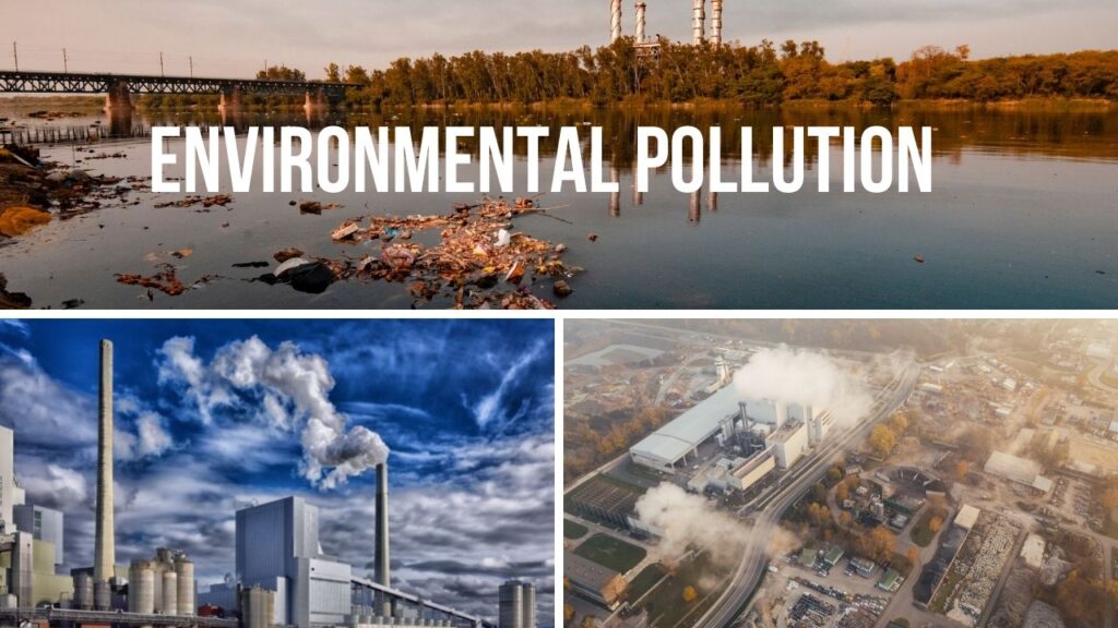 Environmental Pollution - Student Essay