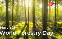 World Forestry Day - History | Significance | Themes | Quotes