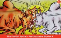 The Foolish Jackal - Panchatantra Stories 4