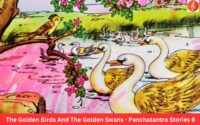 The Golden Birds And The Golden Swans - Panchatantra Stories 6